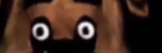 BURGER?! banner