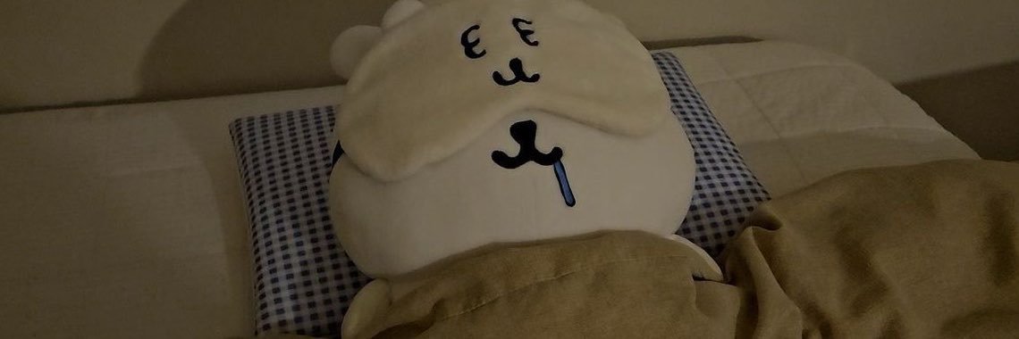 chiikawon's profile banner image
