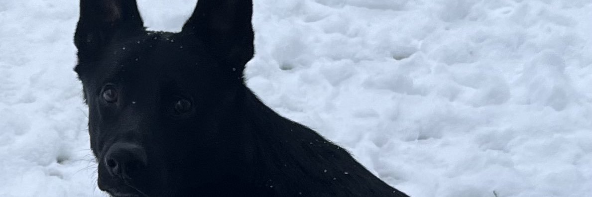 HellerIII's profile banner image