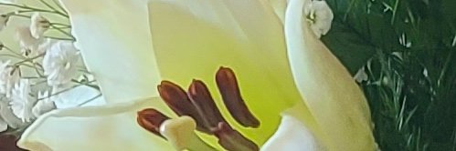 JustAsking73 banner
