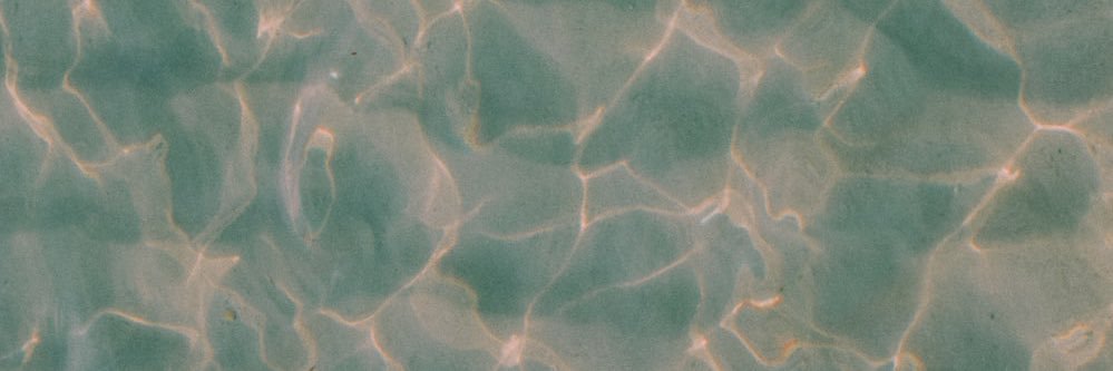 SianLambert16's profile banner image