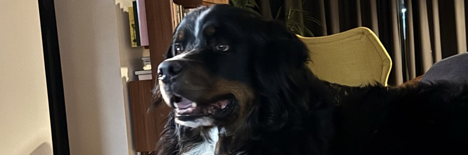 sutty's profile banner image