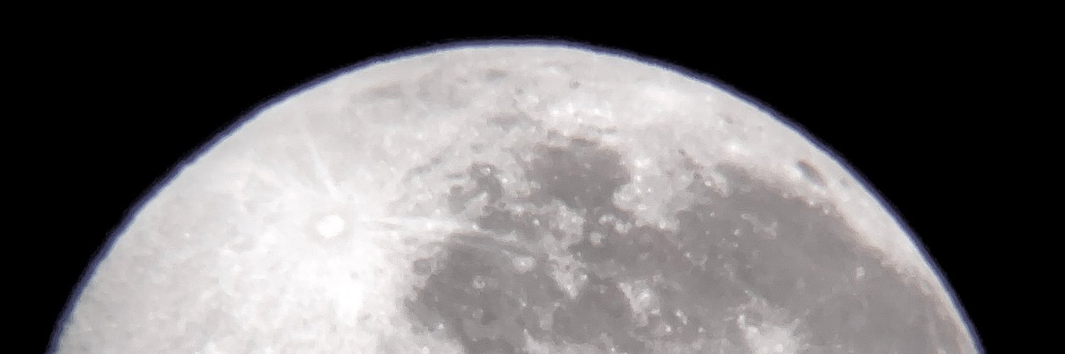 DayGonThaWuskyyy 🐺🇺🇸 banner