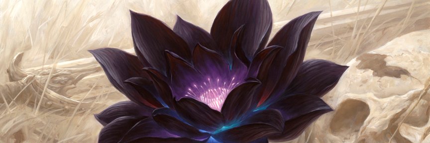 xcblaze MtG banner