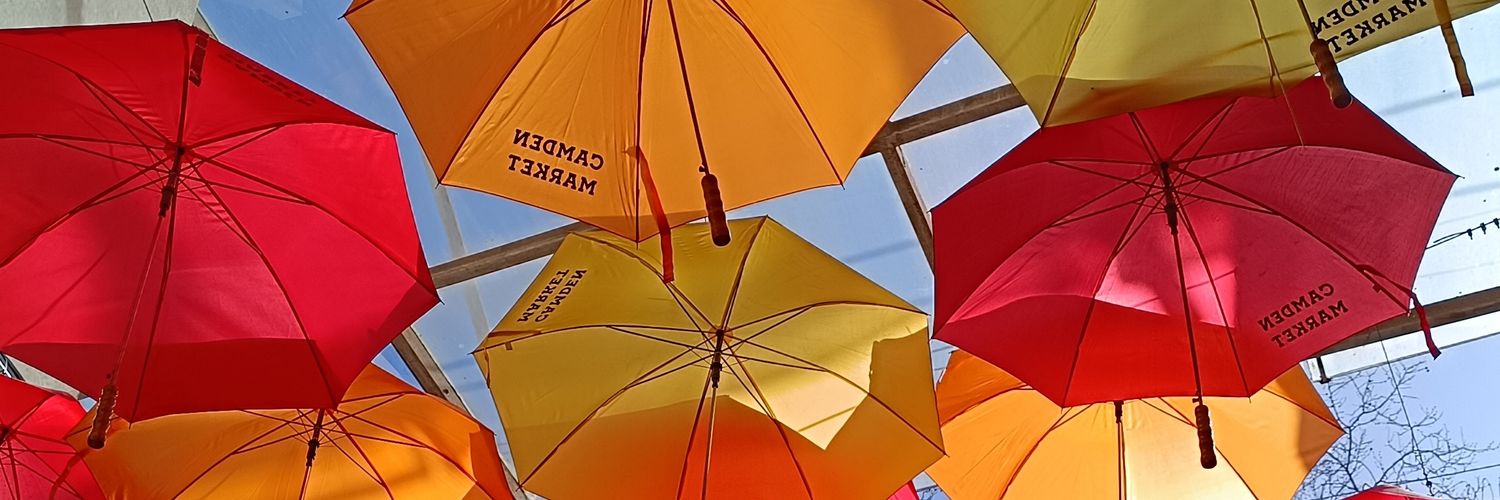 P a o l a  /  宝拉 banner