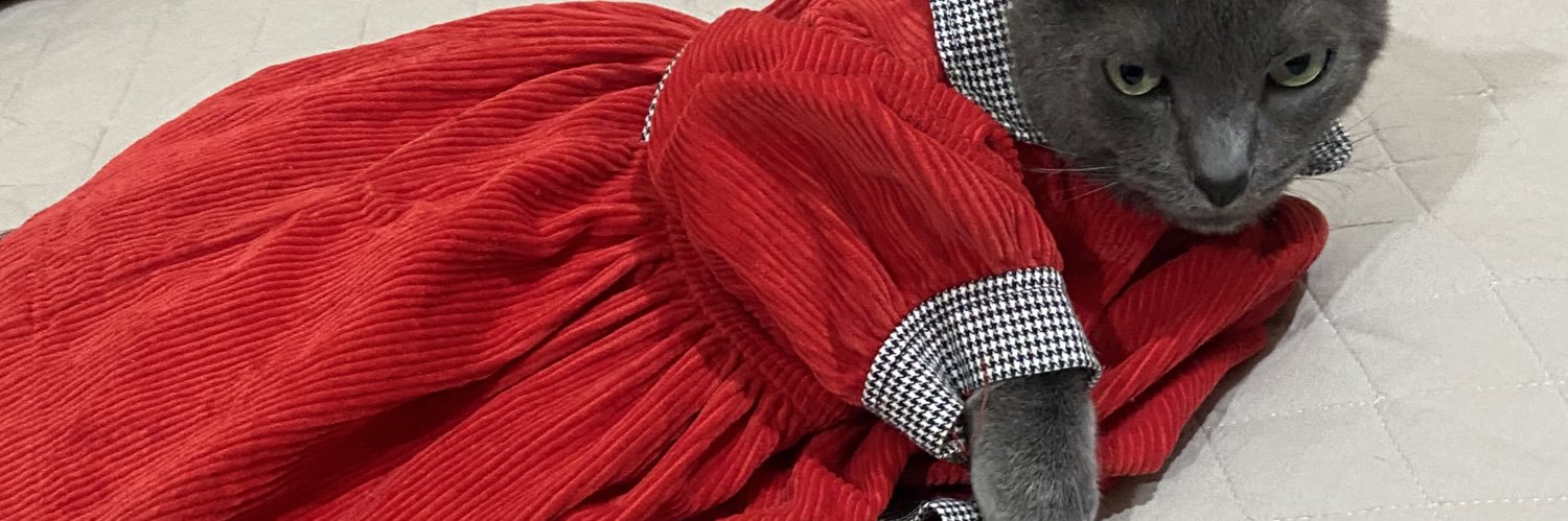 luizapiber's profile banner image