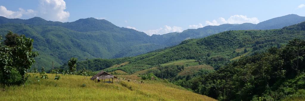 Malte Höpfner banner