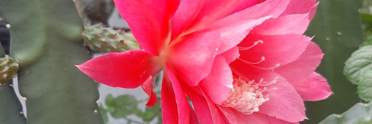 MariolaVCh's profile banner image