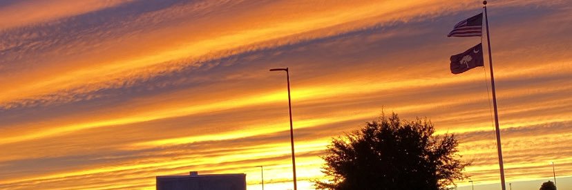MovingDelante's profile banner image
