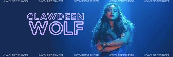 WOLFIEDESINGER Profile Banner