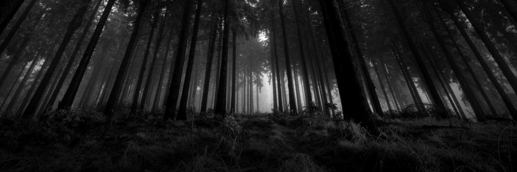 Darkly_Absorbed's profile banner image