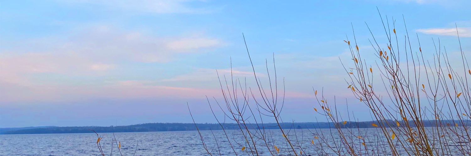 eminthewaking's profile banner image