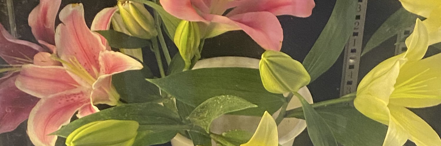 𝒥ℯ𝒿ℯ banner