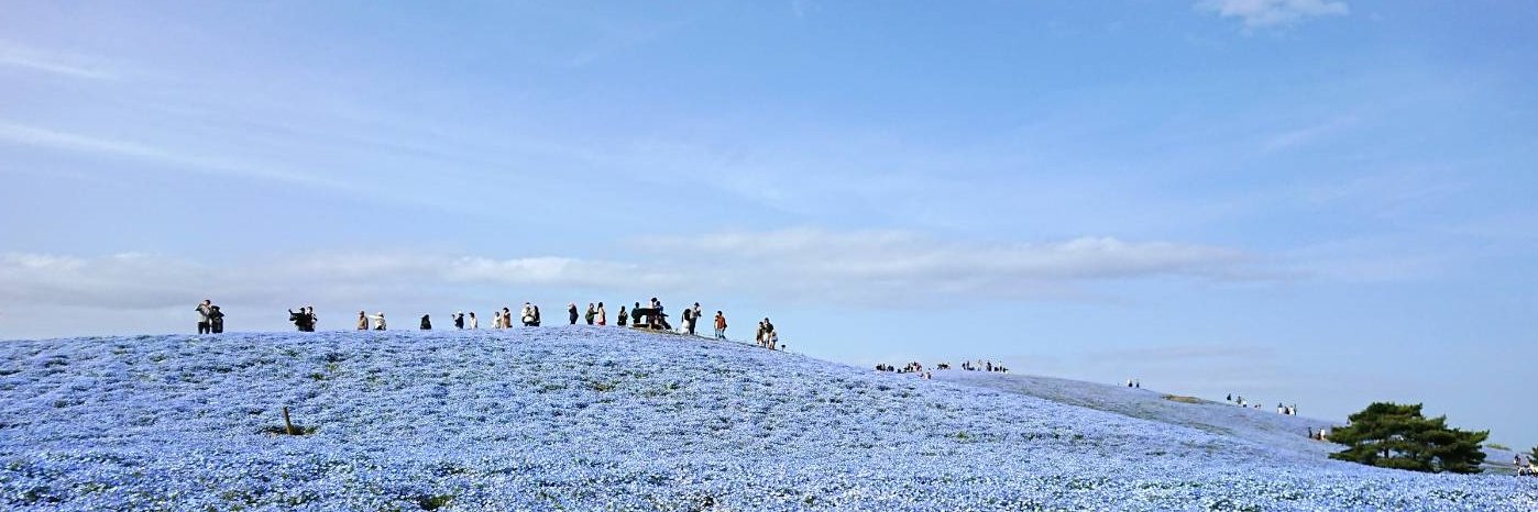 michiosuzuki's profile banner image