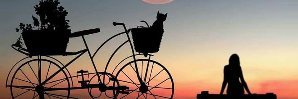 MonicaHuasco's profile banner image