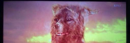 き⃝む⃝に⃝ん⃝ banner