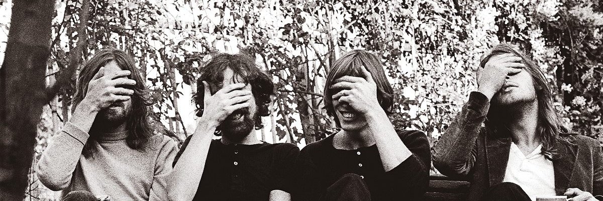 desinteligencia natural banner