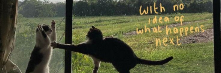 lycan･ᴗ･fast on wa banner