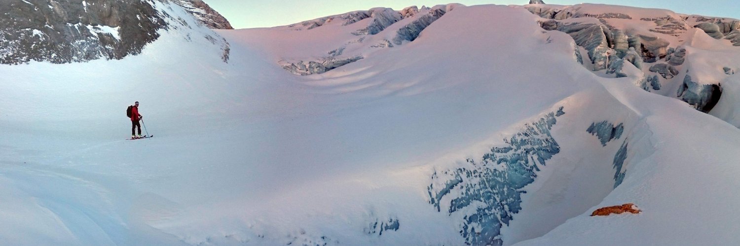 Günter Wallner banner