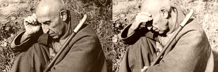 mossadegh's profile banner image
