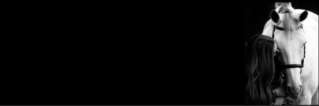 AlReem_AlKhalaf's profile banner image