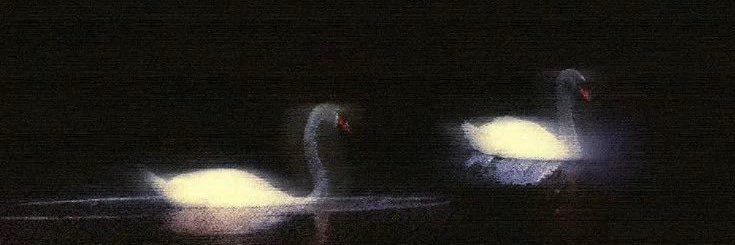 2lhelf's profile banner image