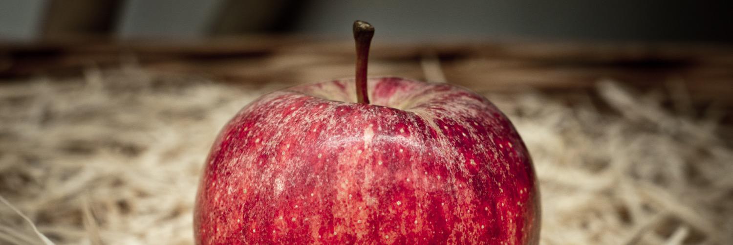 Jenny Farnham banner