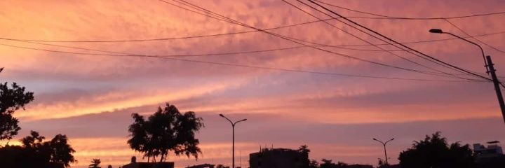 sc_lisbeth's profile banner image