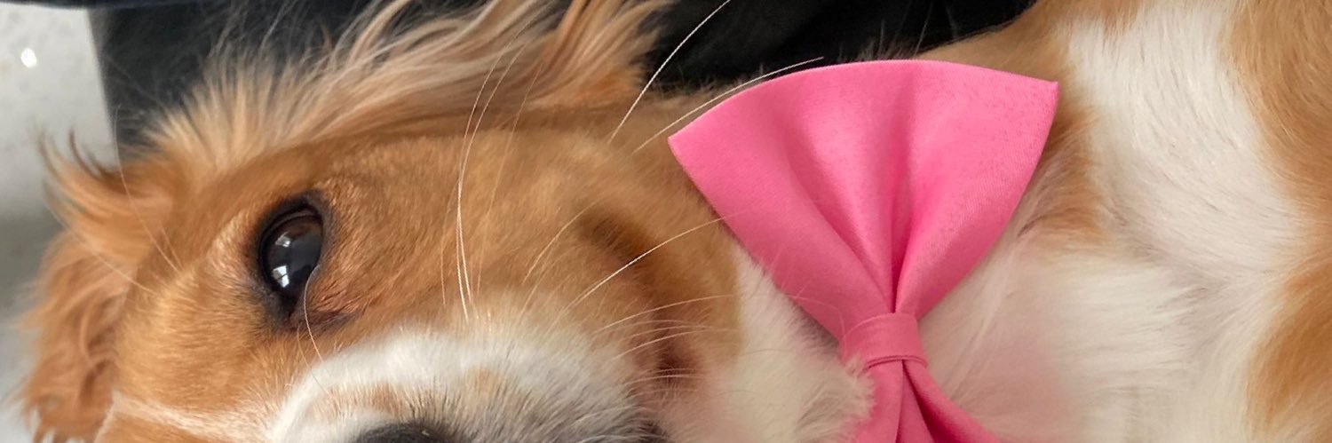 RussellLatter96's profile banner image