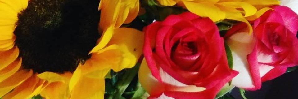SeiryR's profile banner image