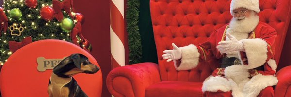 Taamiires_ Profile Banner