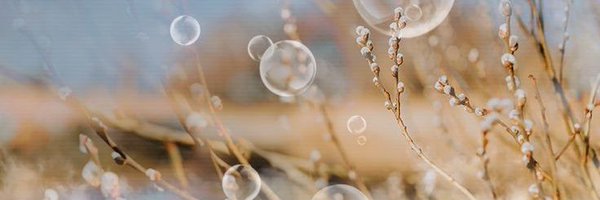 T333B Profile Banner