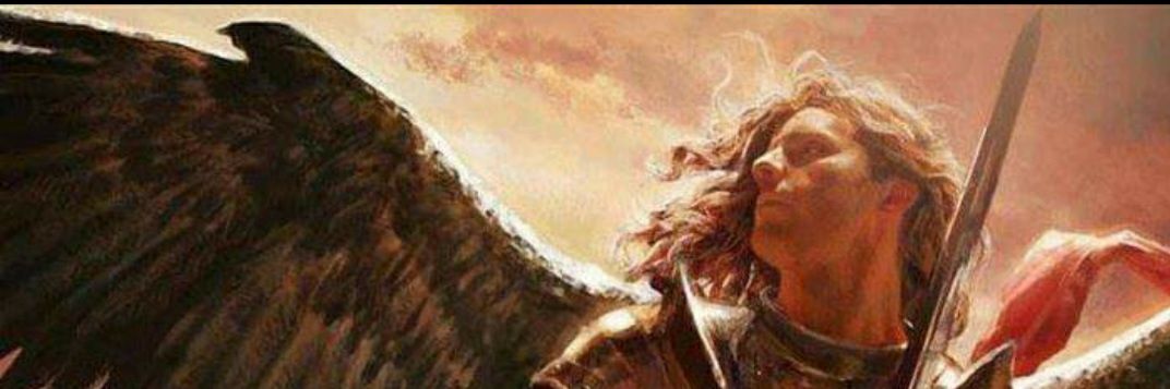 maryccerda's profile banner image