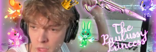 Paulissimuss Profile Banner
