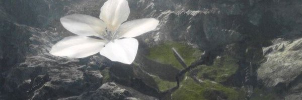 evrlastic Profile Banner