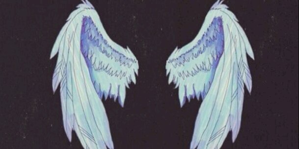 ApydnFtm's profile banner image