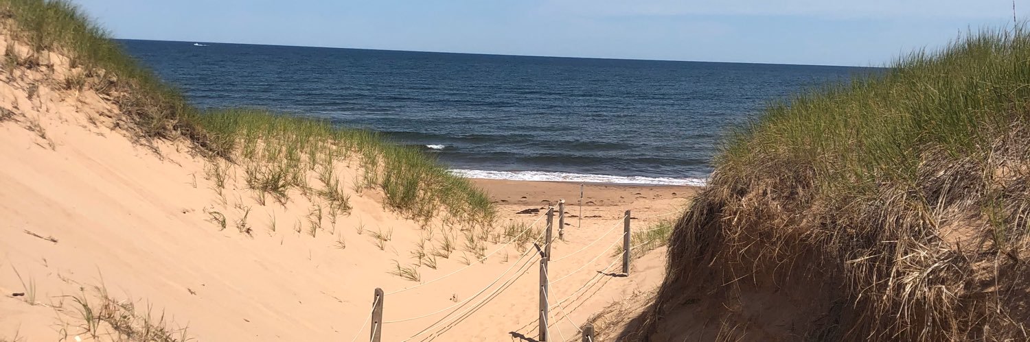 beauvs3's profile banner image