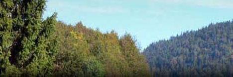 Pyrénées-Atl-Actu banner