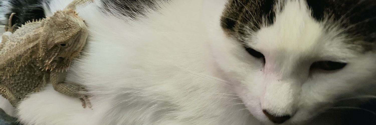MidLifeCalms's profile banner image