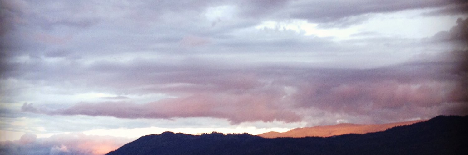 Kelli Stevens banner