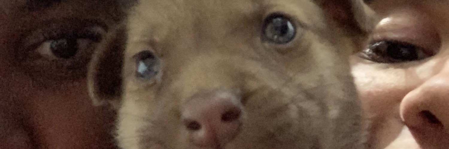 oiwilla's profile banner image