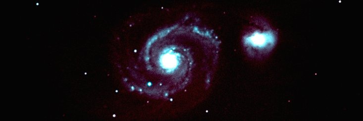 Carola Zanoletti banner