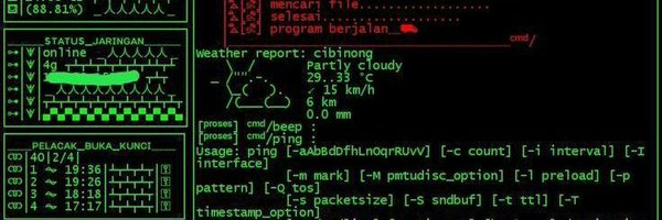hackermitnickk Profile Banner