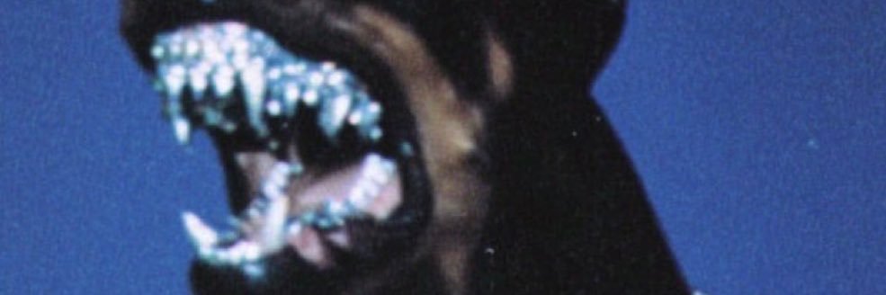 hmmm rentrons banner