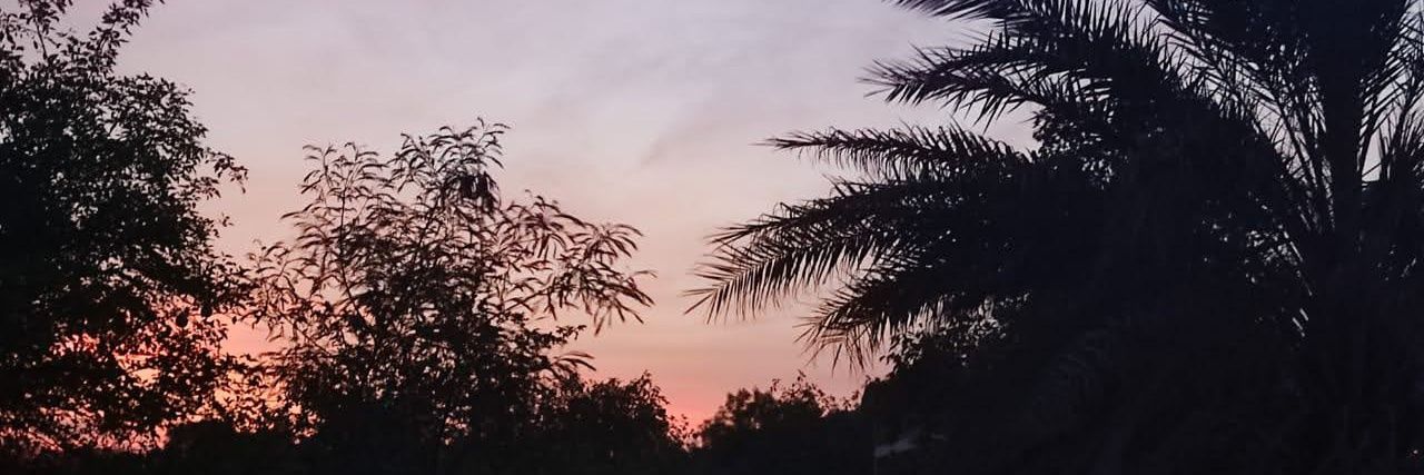 Shreya banner