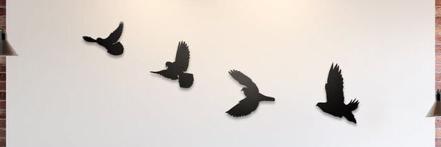 avafleming's profile banner image