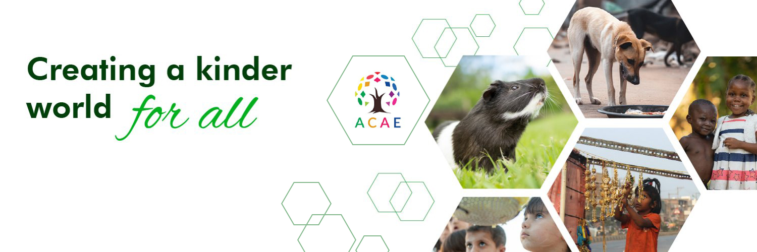 ACAE_EARTH's profile banner image