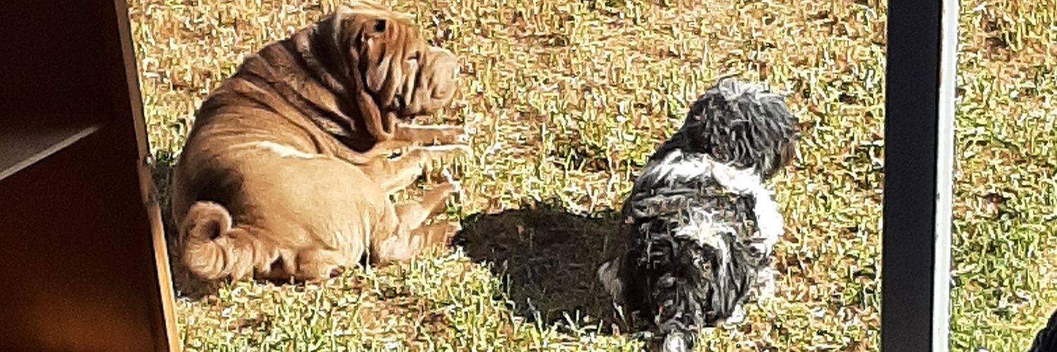 bald75333's profile banner image