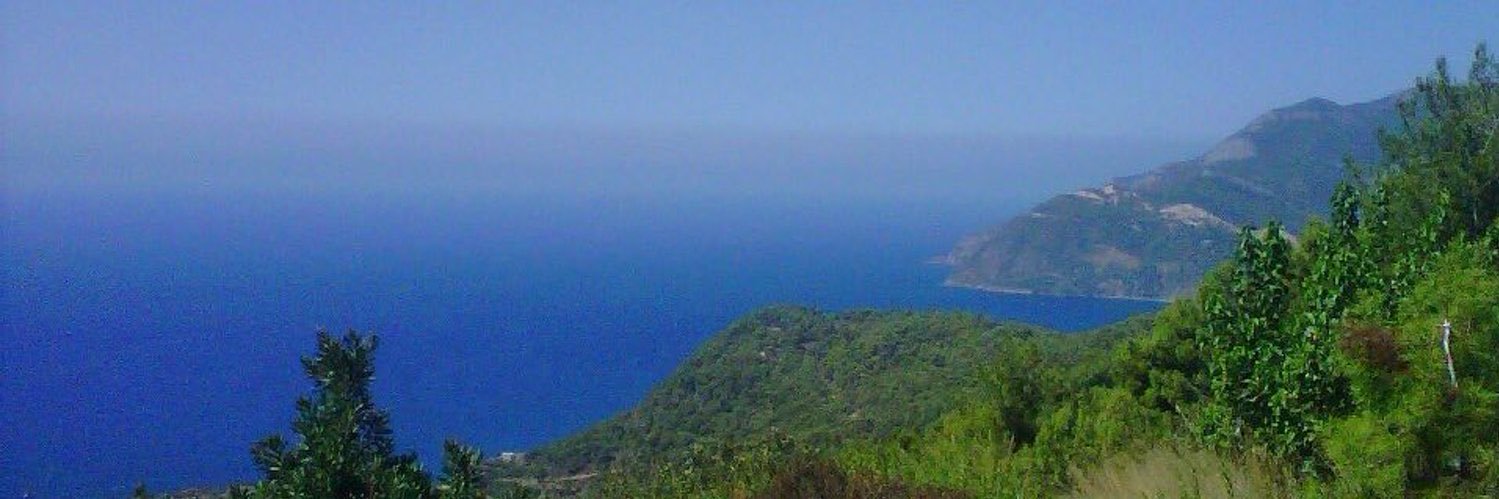 sevtapsinanoglu's profile banner image
