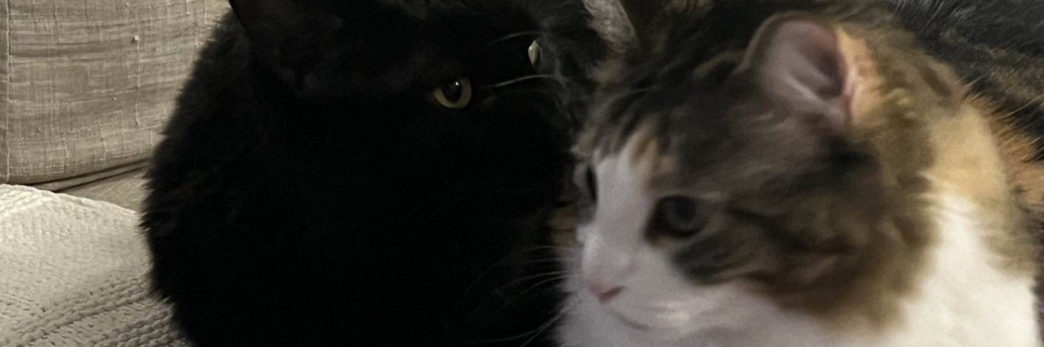 kabatevan's profile banner image